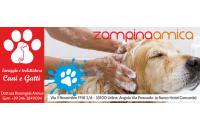 Toelettatura Zampina Amica (Udine) logo