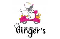 Ginger’s Toelettatura Di Sigurtà Stefania (Calcinato) logo