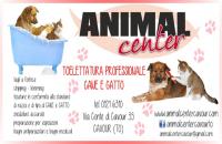 Animal Center (Cavour) logo