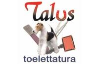 Talus Di Di Pompeo Massimo (L’aquila) logo