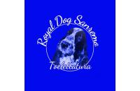 Toelettatura Royal Dog Sanremo  (Sanremo) logo