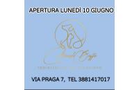 MondoBaffo Sas di Giannini Francesca e C  (Rimini) logo