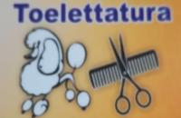 Vincenzo Terranova Casa Degli Animali (Mazara Del Vallo) logo