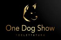 Toelettatura One Dog Show  (Desio) logo